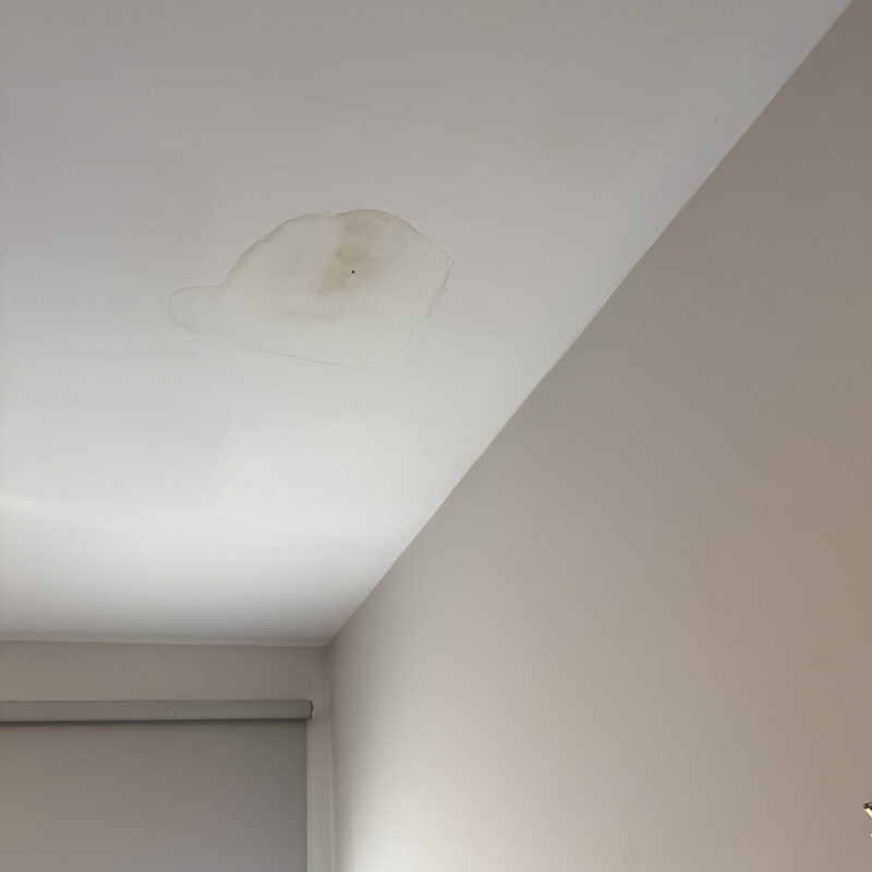 Waterleak Reno-14